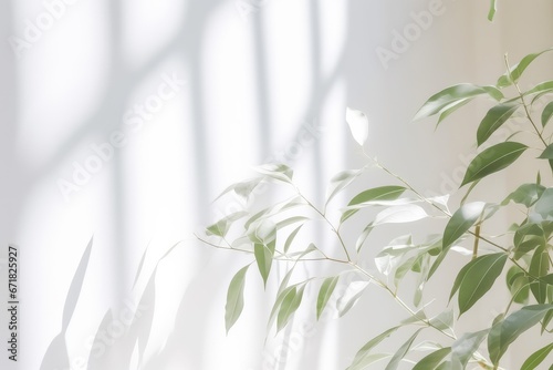 Shadows of leaves on the wall background - generative ai
