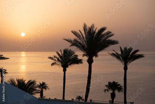 view of the setting sun among the palm trees in the Red Sea in Egypt
