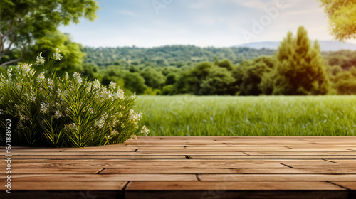 View of wooden deck among tall green grass with rock behind and bushes. lifestyle, walking in park, healthy vacation.
