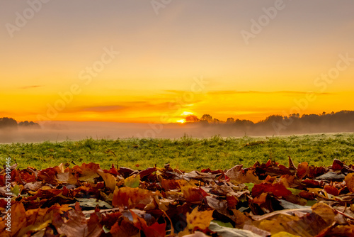 Beautiful autumn landscape at sunset with fallen leaves on the foreground