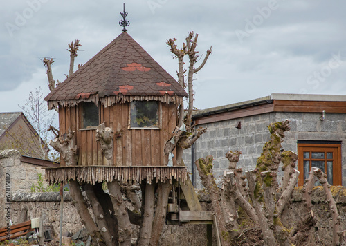 Tree house in a garden with branches growing out of it © Colleenashley