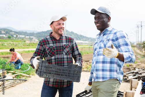 Two positive farm workers talking friendly while standing in field with empty plastic boxes in hands during spring vegetable harvest..