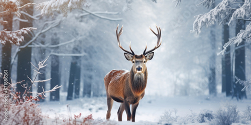 A majestic deer with large antlers standing in a clearing, a dusting of snow on its back and a small red bow tied around its neck. © Justlight
