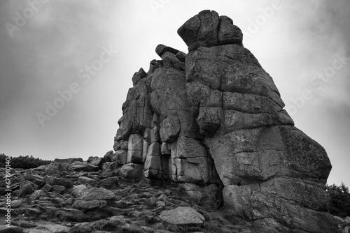 Słonecznik w Karkonoszach - posępna skała w pochmurną pogodę - czarno-białe photo
