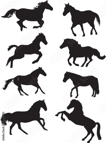 Beautiful Horse Silhouette Vector Art