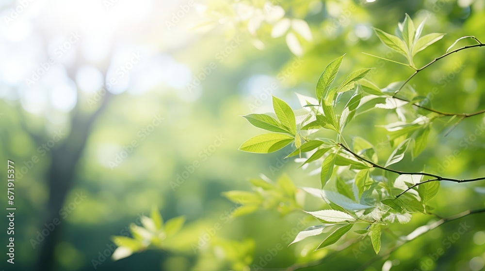 Leaves dance gracefully in the gentle spring breeze Leaves dance gracefully in the gentle spring breeze
