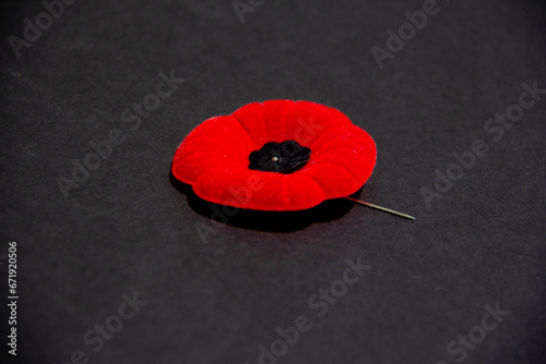 Remembrance Day poppy flower