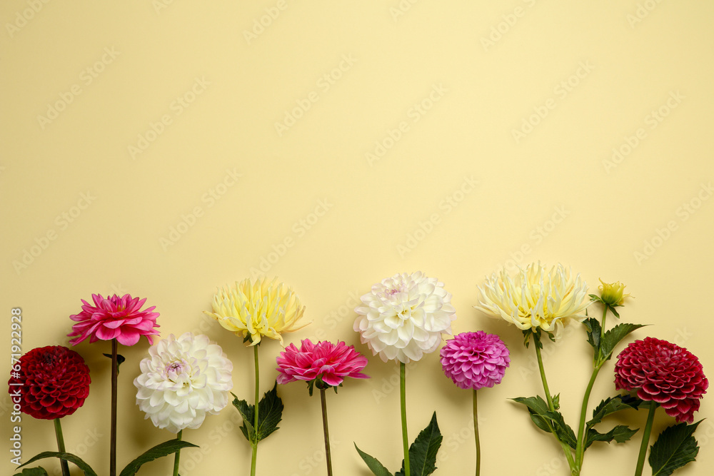Beautiful dahlia flowers on pale yellow background, flat lay. Space for text