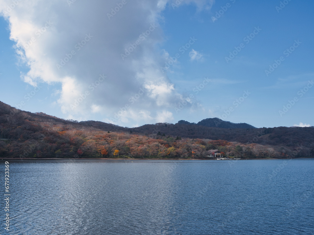 赤城神社と周辺の紅葉
