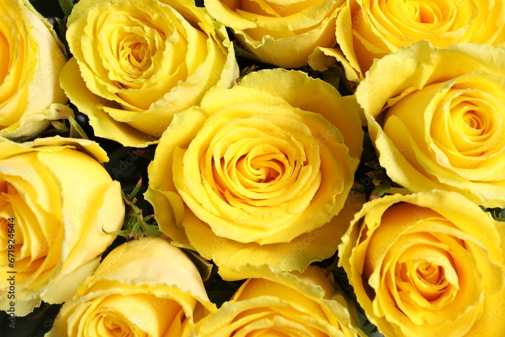 Beautiful bouquet of yellow roses as background, closeup