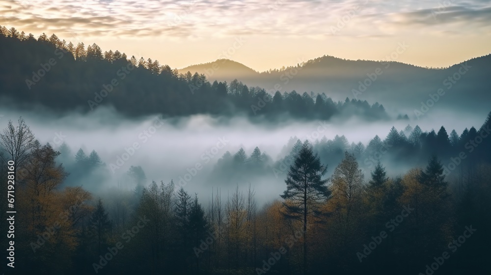 mist over the river