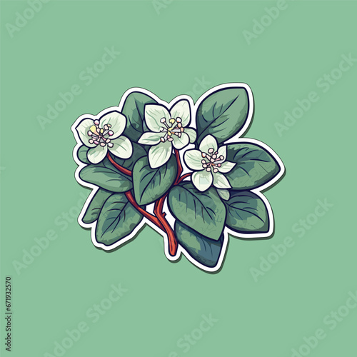 hoya sticker cool colors clip art illustration
