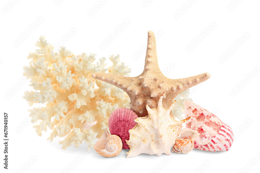 Obraz premium Sea star, shells and coral isolated on white