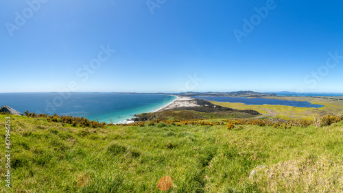 Puheke Lookout: Iconic Meeting of Native flora and Azure Seascape in the Karikari Peninsula, Northland, New Zealand photo