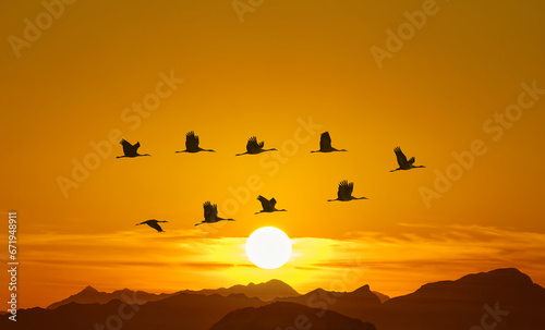 Graceful flight of birds in a V-formation