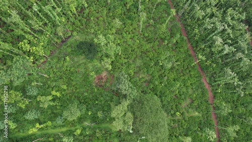 aerial video of coffee plantations in the mountains