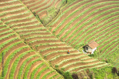 Mountain and terasering view from the summit. Beautiful angle with a farmer going outside from his barn  - Panyaweuyan Terasering Majalengka. January 2nd, 2023. photo