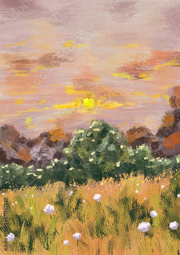 Illustration of a meadow with white wildflowers, bushes, and beautiful sunset