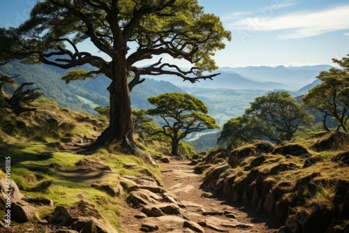 Hiking trail ascending a tree-lined hill with a view of the valley, Generative AI