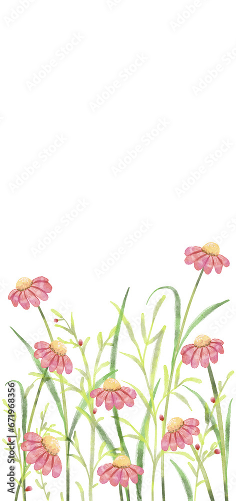 flowers painted in watercolor for wallpaper background