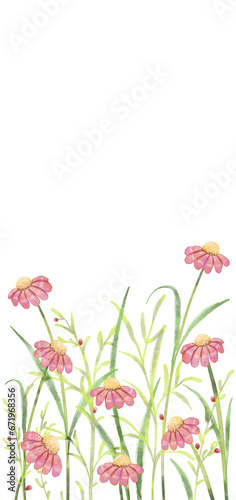 flowers painted in watercolor for wallpaper background