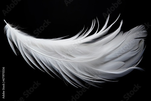 Ghost Feather - Abstract Background with Intricate Black Feather Detailing
