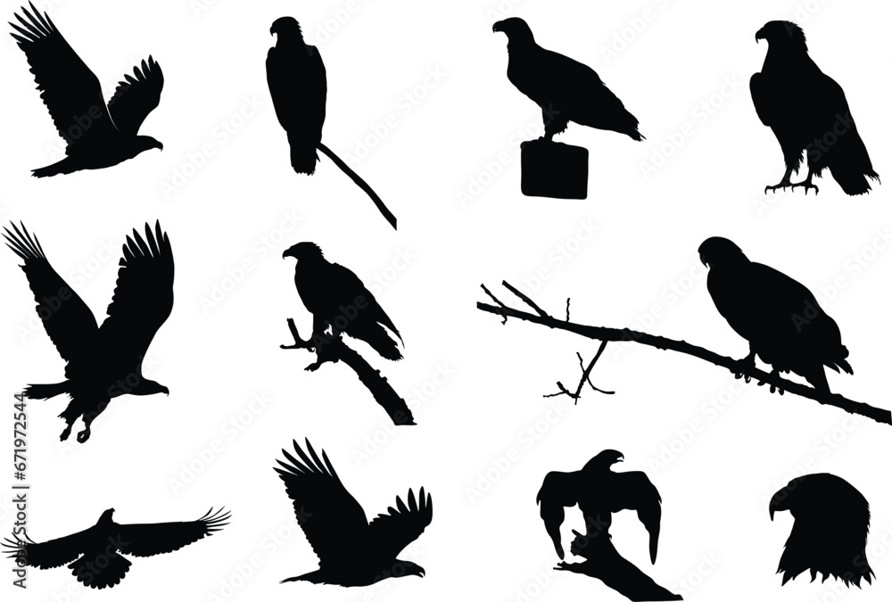 Eagle Silhouettes, Flying Eagle Silhouette, Bald Eagle Silhouette