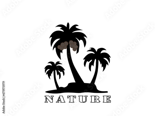 Natural illustration of three coconut trees on a white background