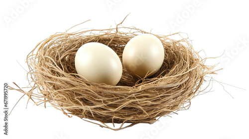 nest with eggs photo