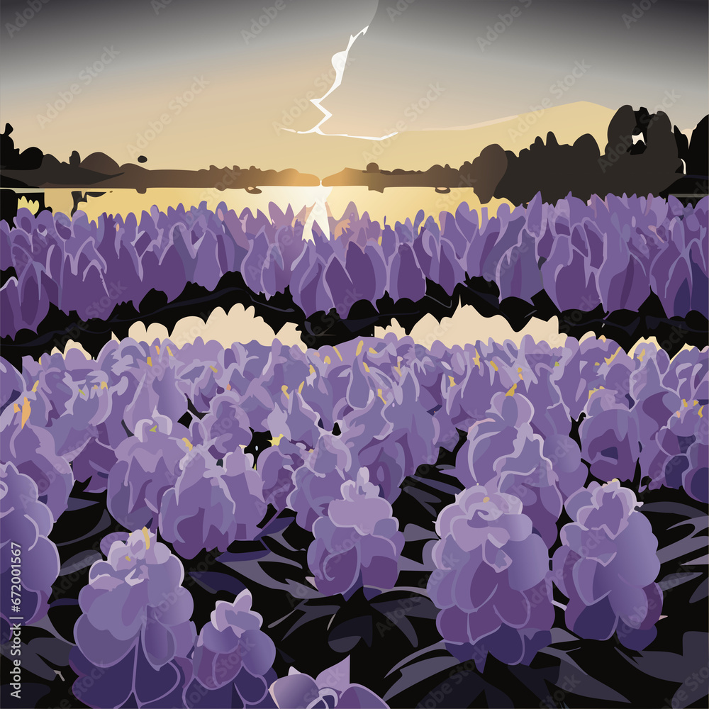 Obraz premium Blooming common water hyacinth flower plants in lake view during sunrise.