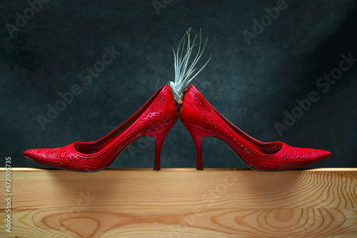 Women's red high-heeled shoes on a wooden board with a Herbaceous plant Tillandsia