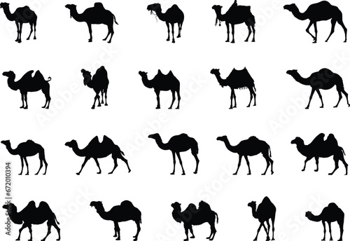 Camel silhouettes, Camel silhouette set, Camel vector illustration, Camel Svg, Camel clipart photo