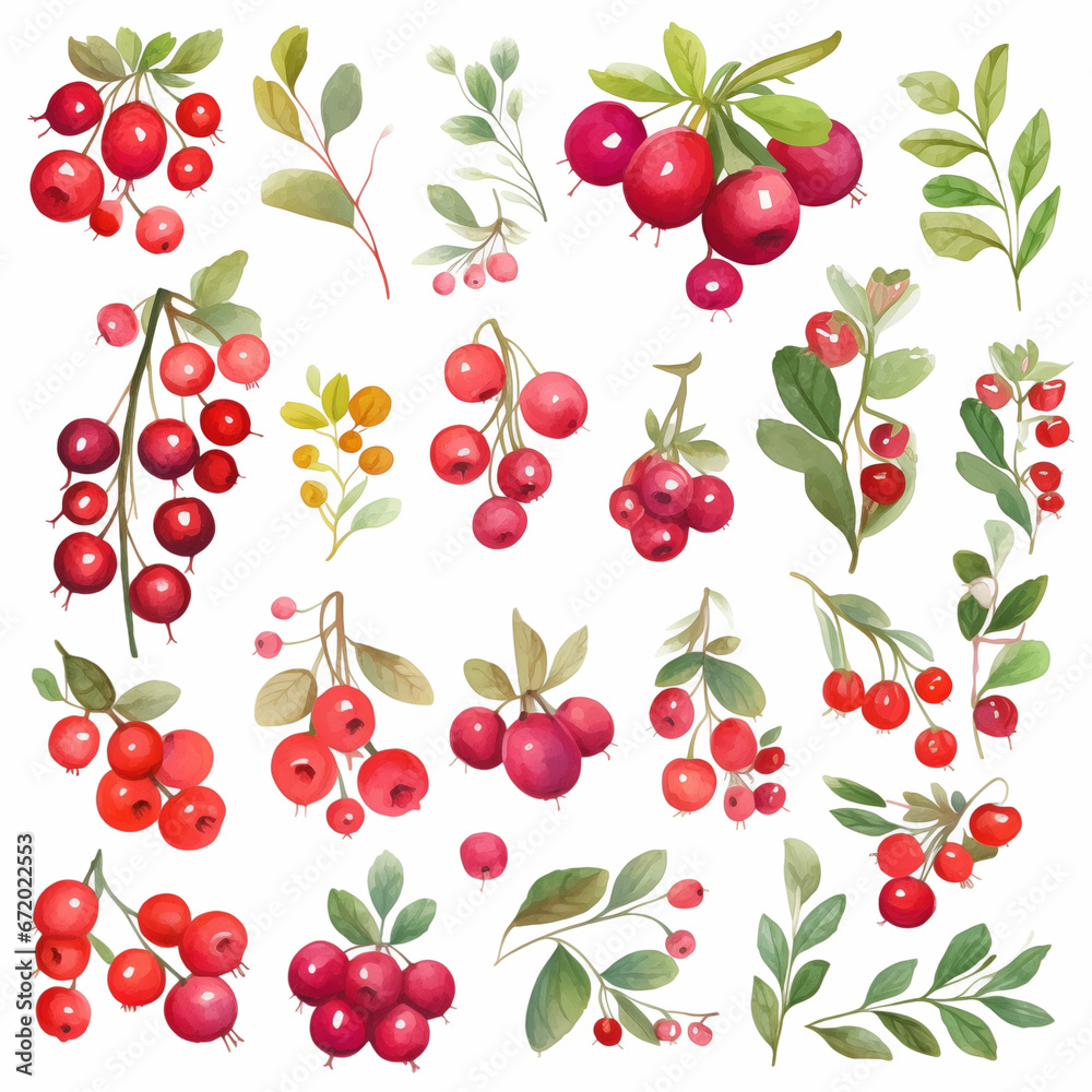 Lingonberry in watercolor collection with flower and leaf with branch Lingonberry in watercolor collection with flower and leaf with branch