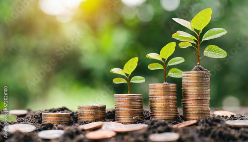 money coins sprouting as plants, piggy bank, and clock representing financial growth, savings, inflation, and long-term investment opportunities. Financial investment and prosperity with interest photo