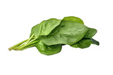 spinach leaves on isolated transparent background