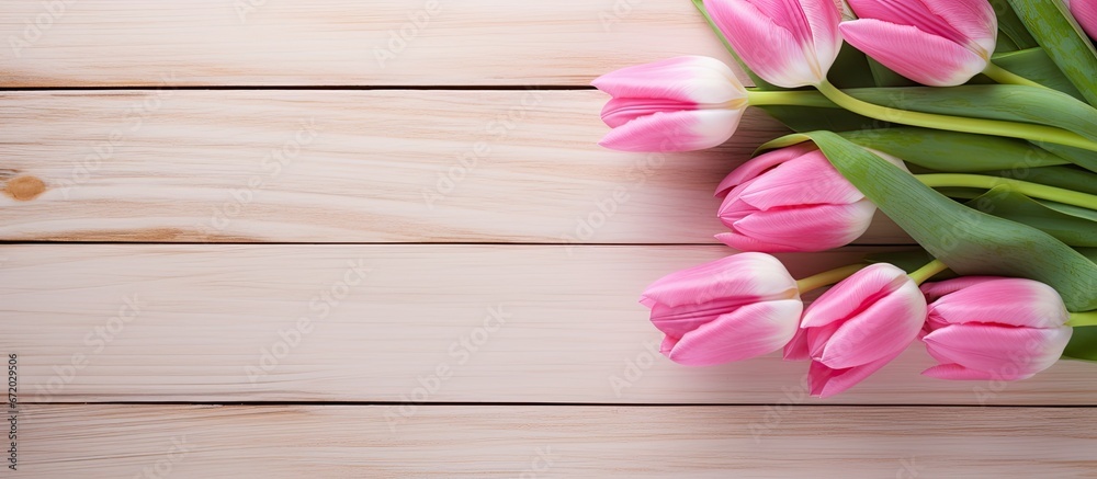 A wooden background with copy space showcasing a pink tulip blossom A wooden background with copy space showcasing a pink tulip blossom