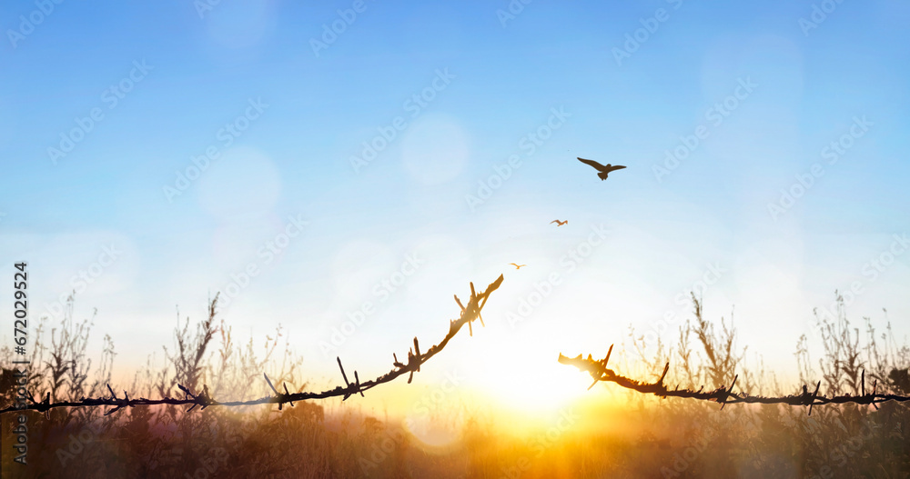 freedom concept, Bird flying and barbed wire at Morning Calm country meadow sunrise landscape background - obrazy, fototapety, plakaty 