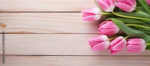 A wooden background with copy space showcasing a pink tulip blossom