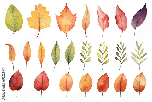 water colored autumn leaves on isolated transparent background
