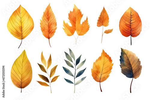 water colored autumn leaves on isolated transparent background