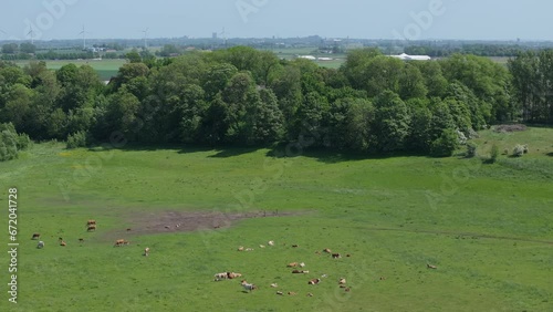 A Tranquil View of Greenery Near Kävlinge River in Sweden - Aerial Panning photo