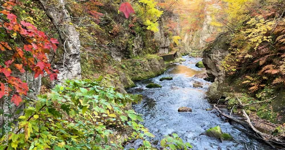 Autumn scenery of a river flowing through Naruko Gorge in Miyagi Prefecture, Japan Autumn scenery of a river flowing through Naruko Gorge in Miyagi Prefecture, Japan