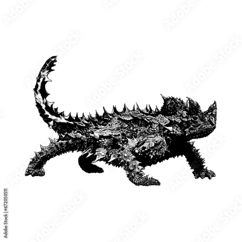 Thorny Devil hand drawing vector isolated on background.
