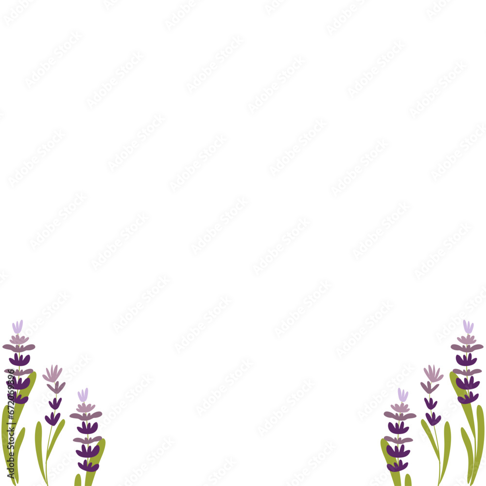 illustration lavender on isolated background. illustration lavender on isolated background.