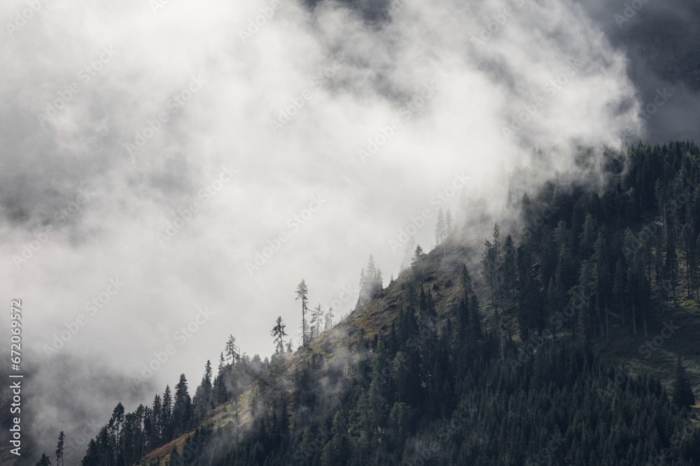 cloudy day long among the woods in the Dolomites cloudy day long among the woods in the Dolomites
