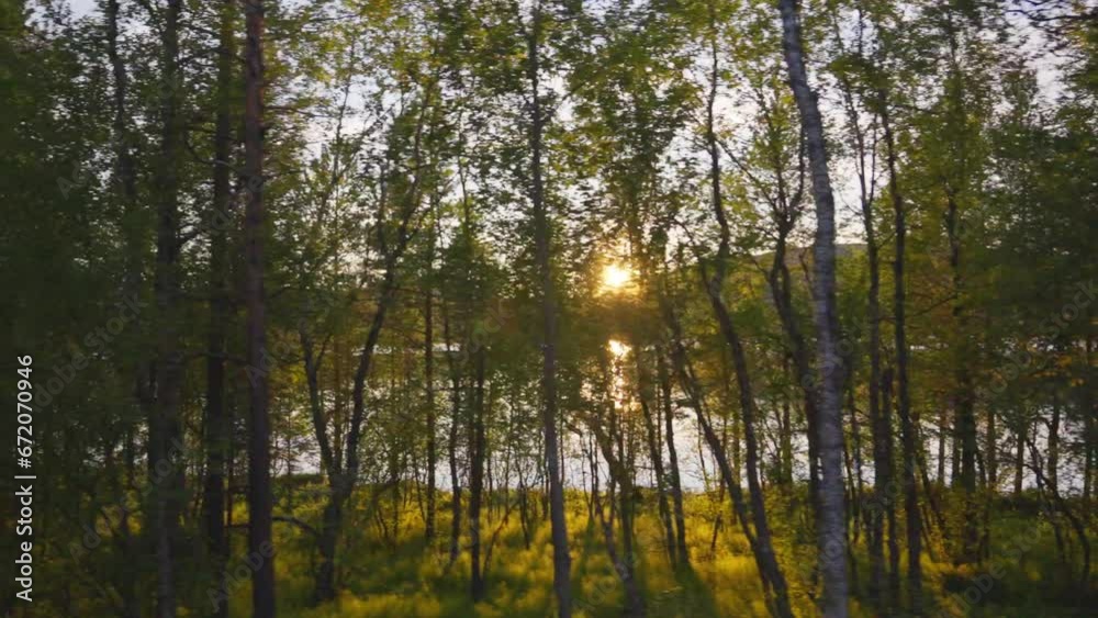Golden Hour Ride Along The Lakeside Forest Golden Hour Ride Along The Lakeside Forest