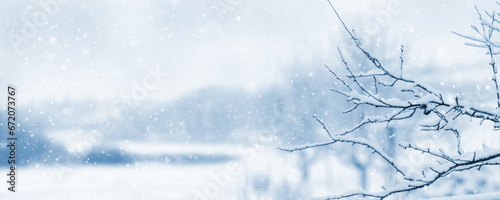 Winter landscape with a tree branch covered with snow on the river bank during a snowfall