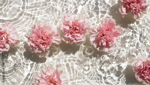Wallpaper Mural Pink carnation flowers on water surface and falling water drops, waves on white background. Water splash. Pure water with reflections sunlight and shadows. Valentines day texture. High quality 4k  Torontodigital.ca