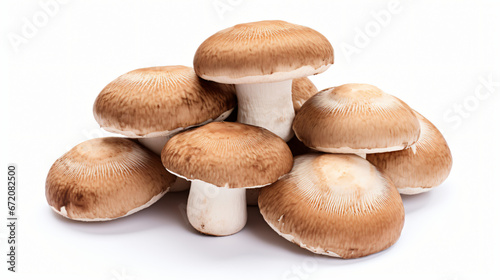 Shiitake Mushrooms isolated on white background
