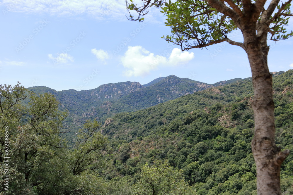 mountainous hiking area around cardedu in sardinia